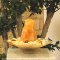 Edelsteinbrunnen Evita Orange Calcit