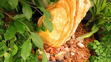 Zimmerbrunnen mit Pflanzen bepflanzte Zierbrunnen