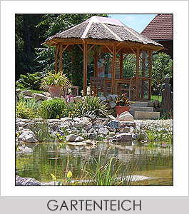 Gartenteich