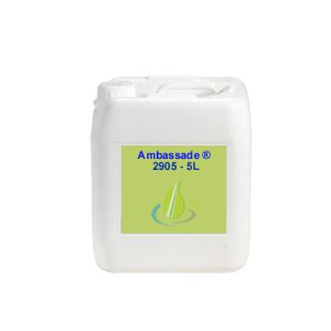 Ambassade Brunnenpflege 5 Liter