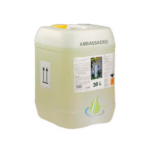 Ambassade Brunnenpflege 30 Liter