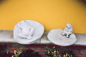 Gartenfigur Tierfigur Rana Su Conchiglia