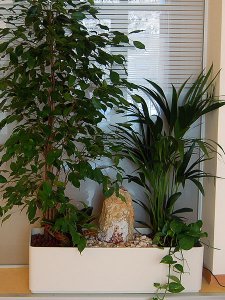Zimmerbrunnen Sandstein mit Pflanzen 120