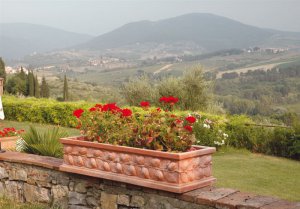 Cassetta con limoni